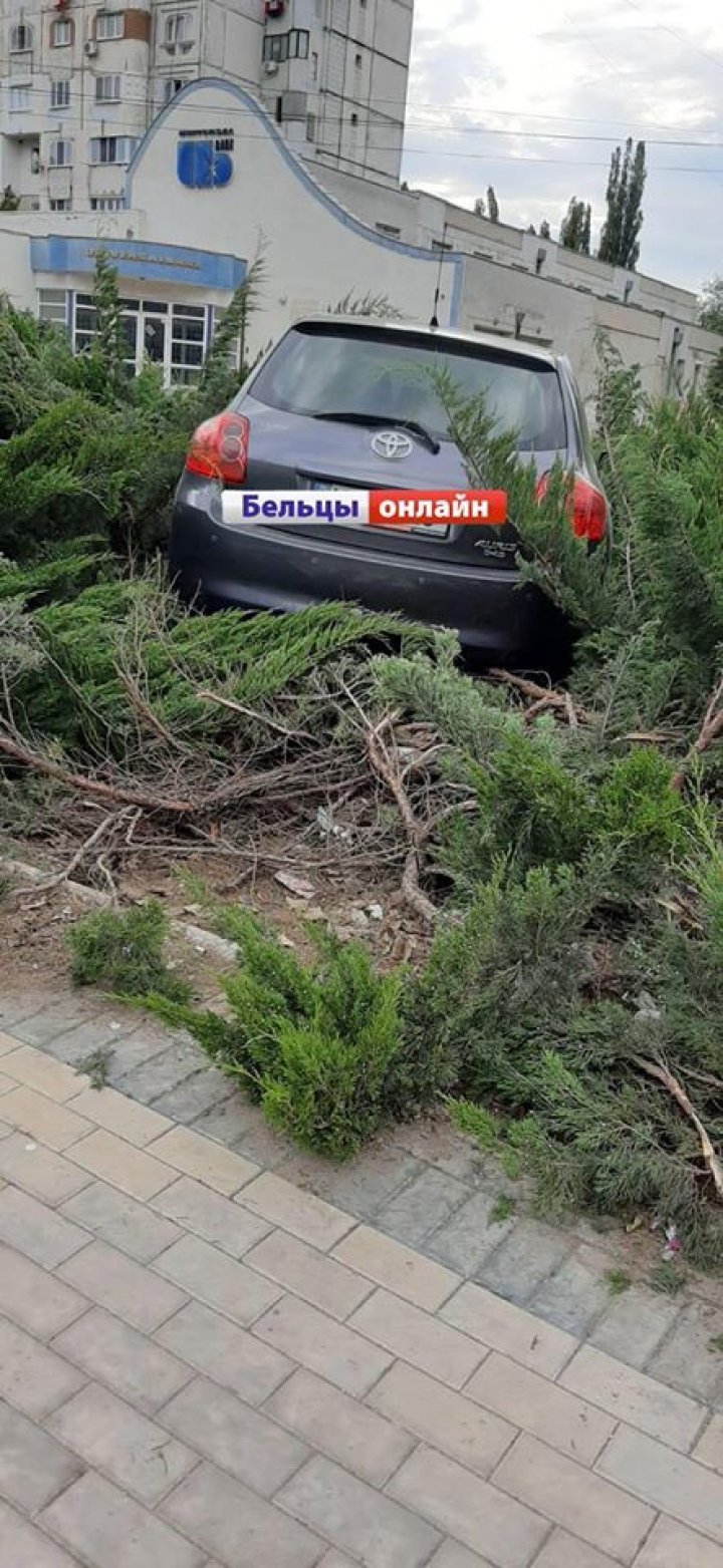 В Бельцах водитель нашел необычное место для парковки своего авто (ФОТО, ВИДЕО) 