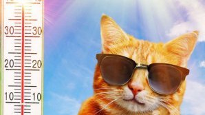 Предупреждение синоптиков: жара до 33°С и жёлтый код опасности