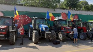 Фермеры приостанавливают протесты и требуют отставки министра сельского хозяйства