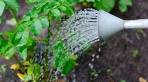 Власти вспомнили об ирригации и подняли вопрос реэшелонирования кредитов для фермеров: на чем настаивает оппозиция