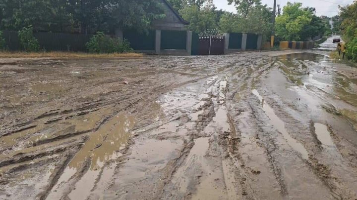 Ливень в Твардице размыл улицы, затопил дворы и убил несколько десятков домашних птиц (ФОТО)