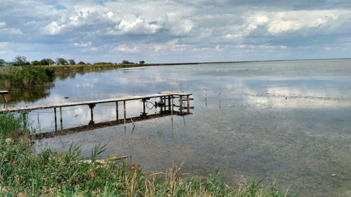 Озеро в Одесской области захватили опасные водоросли