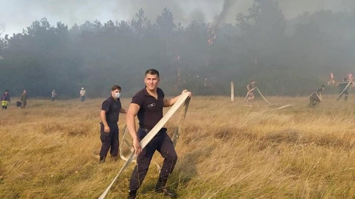 Огонь в 300-х метрах от границы: рядом с КПП Леушены вспыхнул лесной пожар