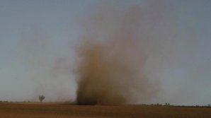 "Пылевой дьявол" под Одессой попал на видео