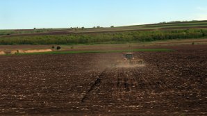 Молдавские фермеры в отчаянии: цены на горючее растут, а обещанного дизтоплива до сих пор нет 