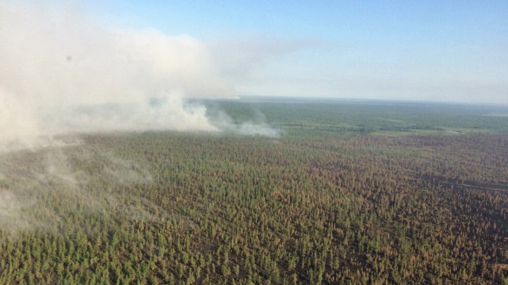 В Ростовской области два человека стали жертвами лесных пожаров