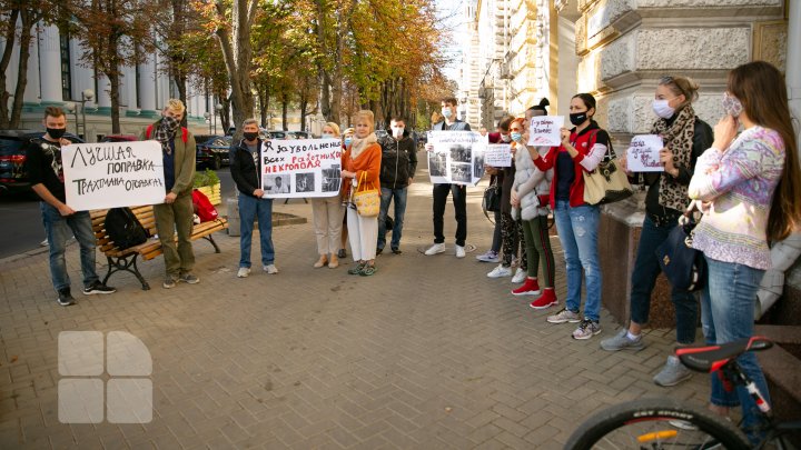 Протест зоозащитников у кишиневской мэрии: реакция директора Центра стерилизации собак (ФОТОРЕПОРТАЖ)