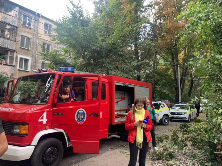 Желтый код в действии: в столице дерево упало на машину (ФОТО)