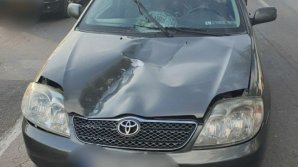 Смертельное ДТП на Чеканах: автомобиль Toyota на полном ходу сбил пешехода 