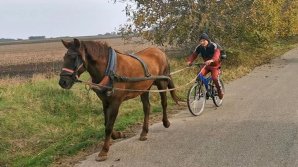 В Румынии лошадь тащила вместо повозки велосипед (ВИДЕО)