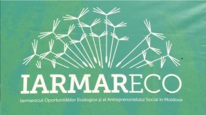 В Яловенах прошла последняя в этом году экоярмарка: нехватки в покупателях торговцы не испытывали