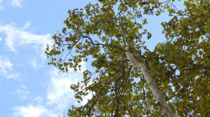 Прогноз погоды на 26 сентября