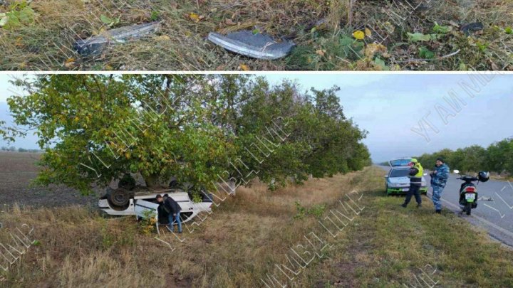 Сбил собаку и попал в аварию: у поселка Первомайск перевернулся автомобиль (ФОТО)