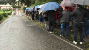 Активная диаспора. Лондон: "Нас уже несколько тысяч человек, а очередь не заканчивается"