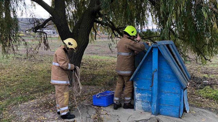 В Каушанском районе спасли кошку из колодца (ФОТО)