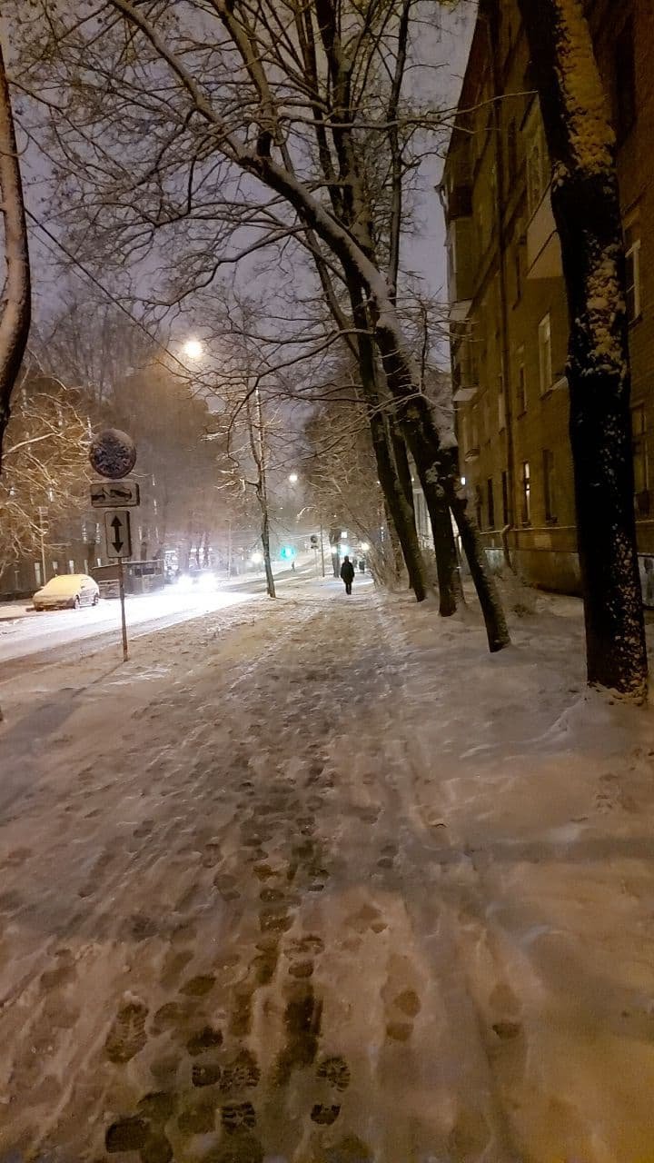 "Это первая в сезоне метель": зимняя сказка в ноябрьской Москве (ФОТО) 