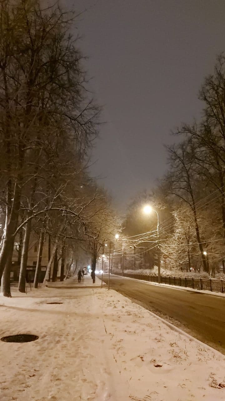 "Это первая в сезоне метель": зимняя сказка в ноябрьской Москве (ФОТО) 