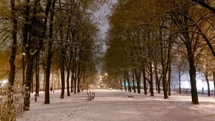 "Это первая в сезоне метель": зимняя сказка в ноябрьской Москве (ФОТО) 