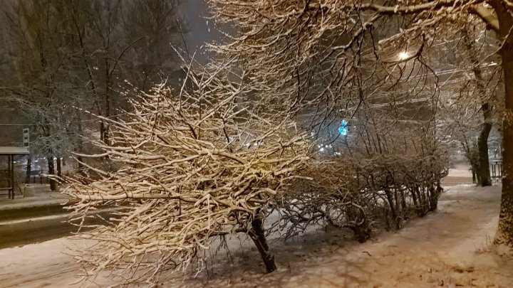 "Это первая в сезоне метель": зимняя сказка в ноябрьской Москве (ФОТО) 