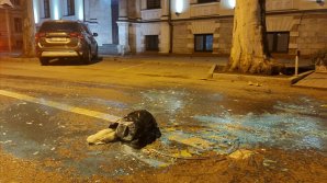 Евгений Никифорчук рассказал подробности нападения на него: "Подозрения есть, но мы не будем называть имён"