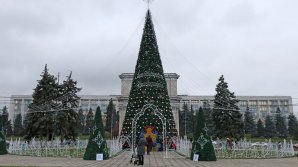 Холодно и пасмурно: прогноз погоды на 7 декабря