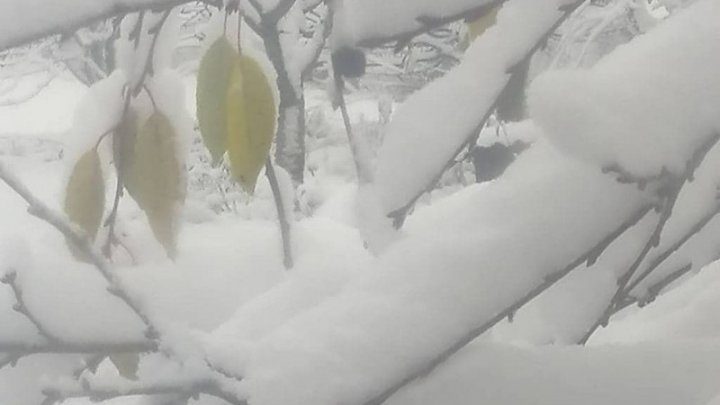 Одесскую область засыпало снегом, ночью замело несколько дорог (ФОТО)