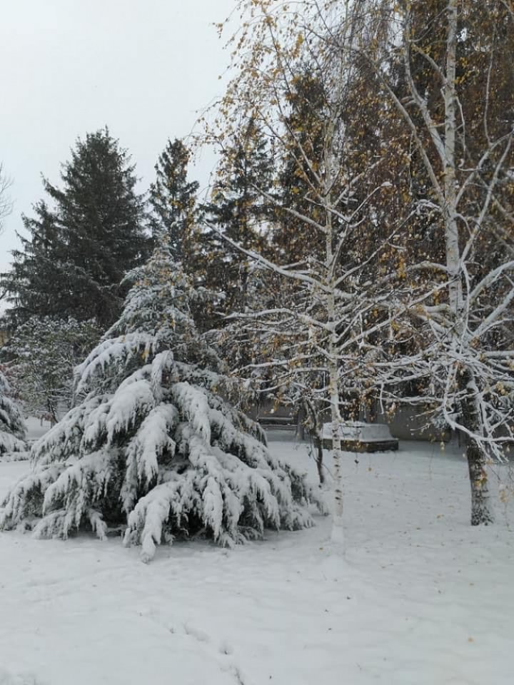 Одесскую область засыпало снегом, ночью замело несколько дорог (ФОТО)