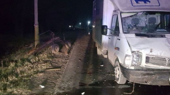 В Новоаненском районе фургон протаранил повозку: два человека пострадали, лошадь погибла