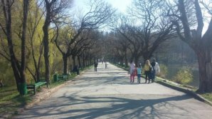 Кошмар, а не прогулка: в столичном парке велосипедист сбил двух мам и их детей