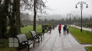 Тепло, местами дожди: прогноз погоды на 5 января