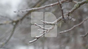 Морозы не отступают: прогноз погоды на 15 февраля 2021