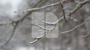 Прогноз погоды на 20 января 