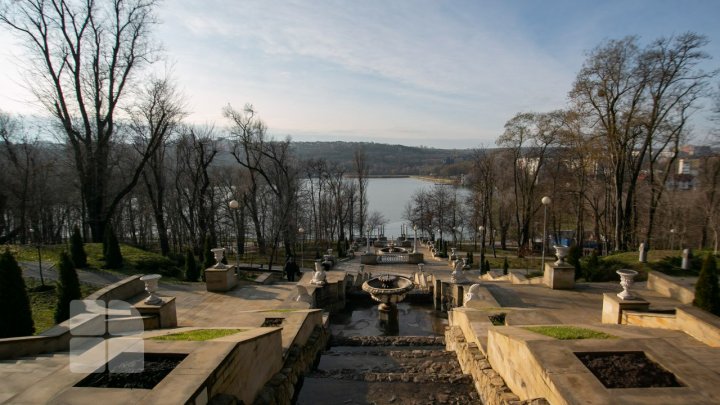 Весна среди зимы: январские фиалки и зелень в парках. Фоторепортаж 