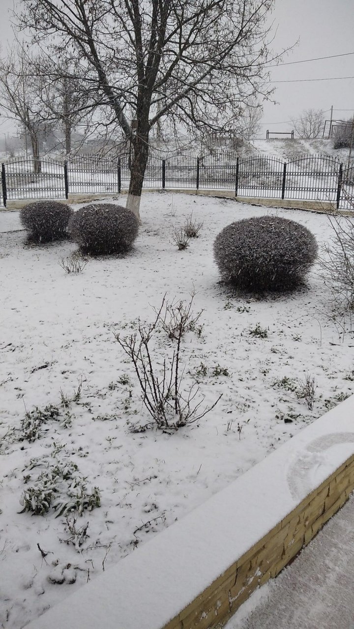 Молдова встречает опоздавшую зиму (ВИДЕО)