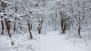 Прогноз погоды на 13 февраля