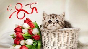 Прохладное 8 Марта: синоптики рассказали, какой будет погода в Международный женский день