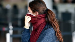 В Австрии уволили трех профессоров за то, что они не носили защитные маски