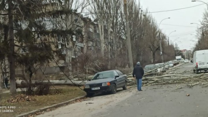 Панно рухнуло на киоск, дерево раздавило машину: последствия сильного ветра в Кишиневе (ФОТО)