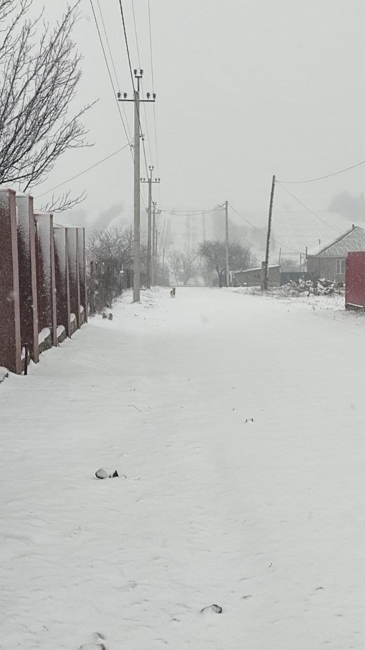 Евдоха трусит свои покрывала: в Молдове выпал снег (ФОТО, ВИДЕО)