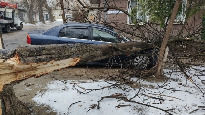 Панно рухнуло на киоск, дерево раздавило машину: последствия сильного ветра в Кишиневе (ФОТО)