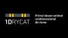 1DryCat: как создавался первый в мире одномерный мультфильм из Молдовы