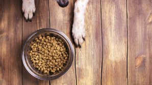 В Страшенах производят корм для собак из костей со скотобоен