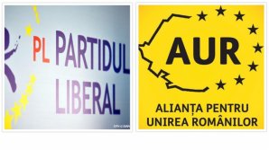Надеются на 10 процентов голосов: Либеральная партия присоединится к Альянсу за объединение румын