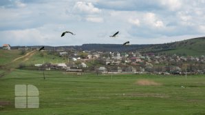 Прогноз погоды на 25 мая