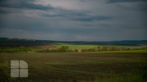 Прогноз погоды на 3 июня