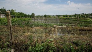 Фермеры подсчитывают убытки: от выпавшего дождя с градом сильно пострадали центральные и северные районы страны