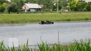 Синоптики обещают легкую прохладу: прогноз погоды на 28 июня