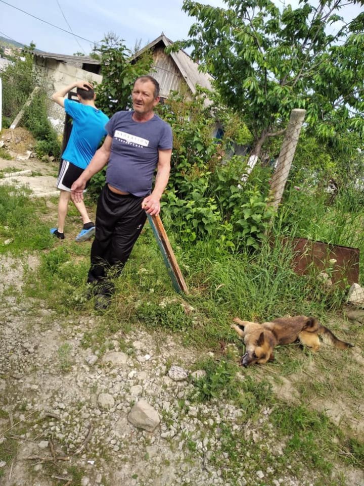 Житель Хынчешт жестоко избил привязанную к забору собаку (ФОТО)