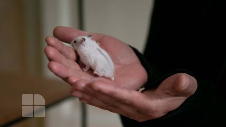 В Кишиневе распахнул двери лагерь юных натуралистов (ФОТОРЕПОРТАЖ)