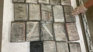 В Румынии нашли контрабанду на 25 млн евро среди бананов (ВИДЕО)